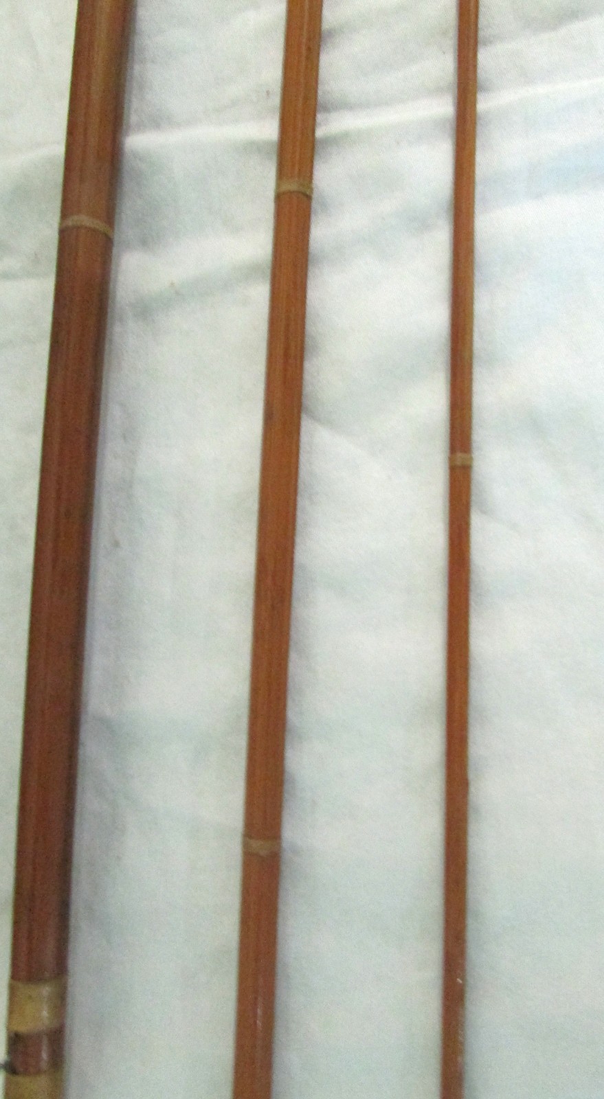 Foto 3 di 6