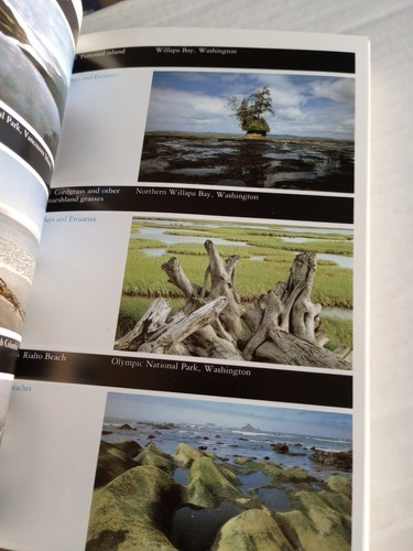 Pacific Coast (The Audubon Socie... by McConnaughey, Evelyn Paperback - Picture 11 of 20