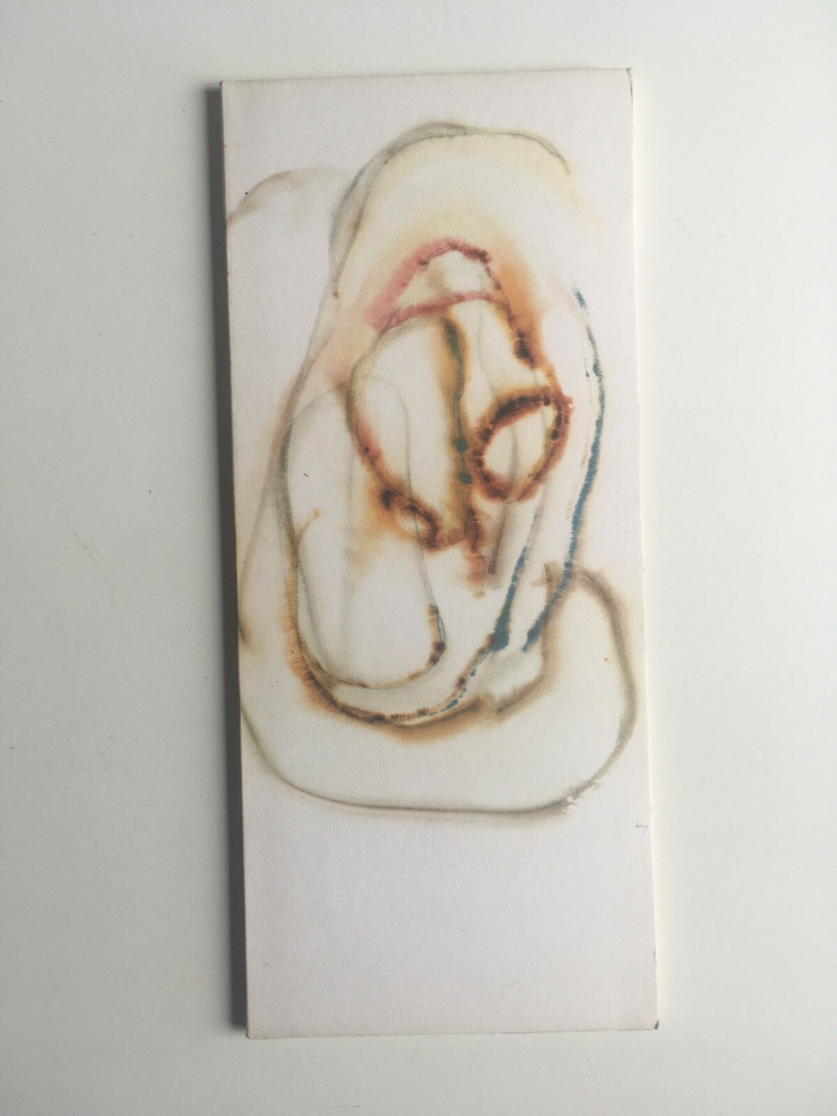 Foto 1 di 2