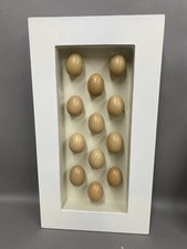 Egg Shadow Box Made from 12 Real Hen Eggs