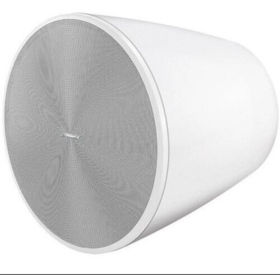 Bose DesignMax DM10P Sub 10''- 70V/100V/8OHM / 300W - Pendant Subwoofer / White