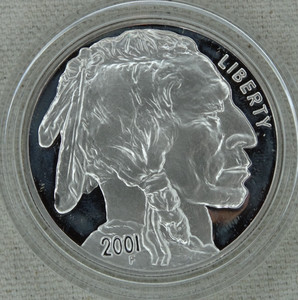 2001 Buffalo Silver Dollar | eBay