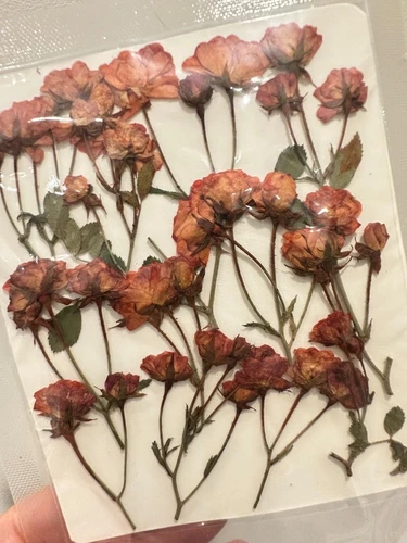 Dried Pressed Flowers Natural Epoxy Resin Candle Nail Art Scrapbooking Craft AU - Picture 130 of 210
