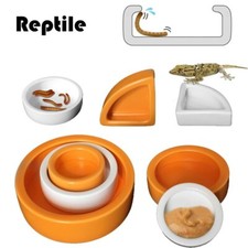 Ceramics Reptile Feeder Water Food Dish Feeding Bowl For Turtle Lizard