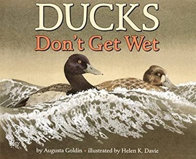 Ducks Don't Get Wet Hardcover Augusta Goldin