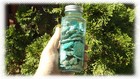 200gr Lot Turquoise Campitos Mexican Vein Stabilized Natural Authentic Rough — photo 3