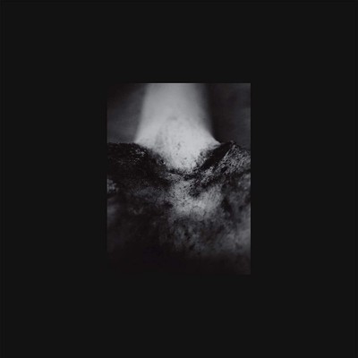 Common Eider, King Eider A Wound of Body (Vinyl) 12'' Album