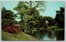 Postcard Mississippi Leland Beautiful Deer Creek  56W