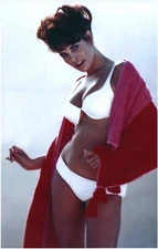 A VINTAGE STYLE POSTCARD WITH AN IMAGE OF RAQUEL WELCH