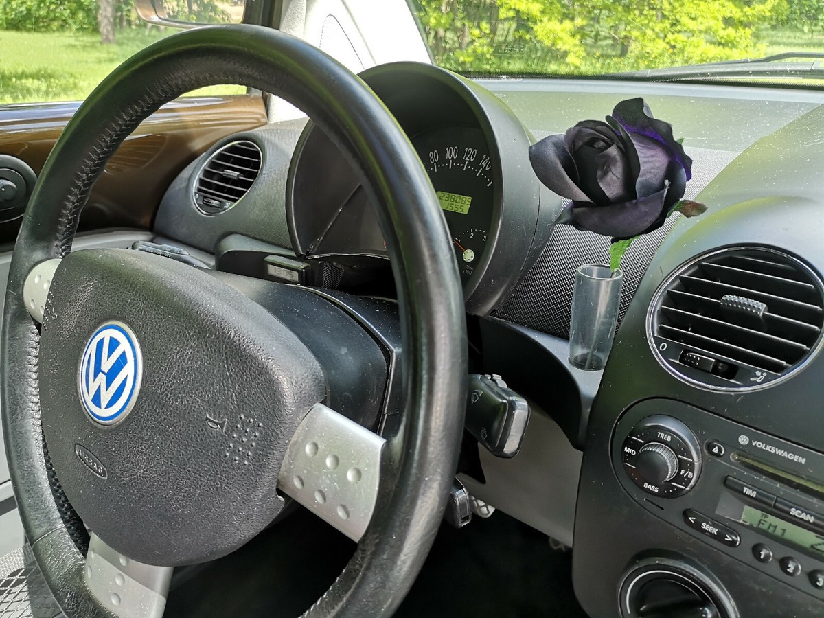 Volkswagen Beetle 2009 Interior