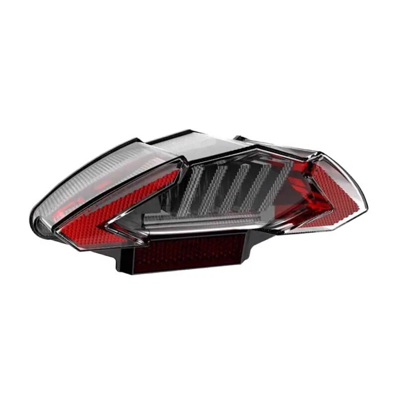 Luz trasera LED lámpara de freno luz trasera para BMW F800 R/S F650GS G650 GS R1200GS ADV Foto 2 de 4