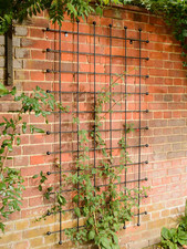 RECTANGLE SOLID STEEL TRELLIS PANEL FOR CLIMBERS - BLACK / NATURAL RUST FINISH