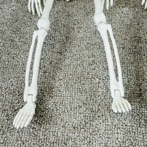 Decorazioni Scheletro Halloween 15 Pollici Corpo Completo Set di 2 Spaventose Spaventose Divertenti Autunno - Foto 9 di 12