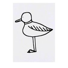 'Seagull' Temporary Tattoos / Transfers TO00017902 