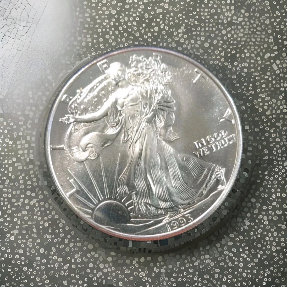 1993 Silver Bullion Coins for sale | eBay