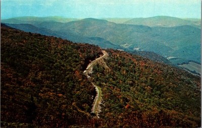 Vintage Postcard Aerial View Road to Rhododendron Garden Roan Mountain Tennessee