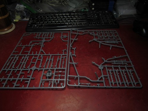 Warhammer 40k: Eldar / Dark Eldar: Bits on Sprue - Picture 2 of 5