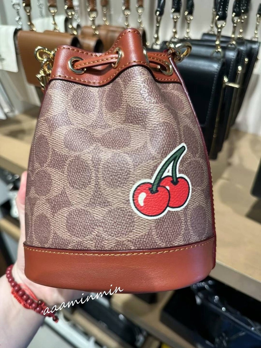Coach Mini Bucket Bag In Signature Canvas With Sticker Print CW300