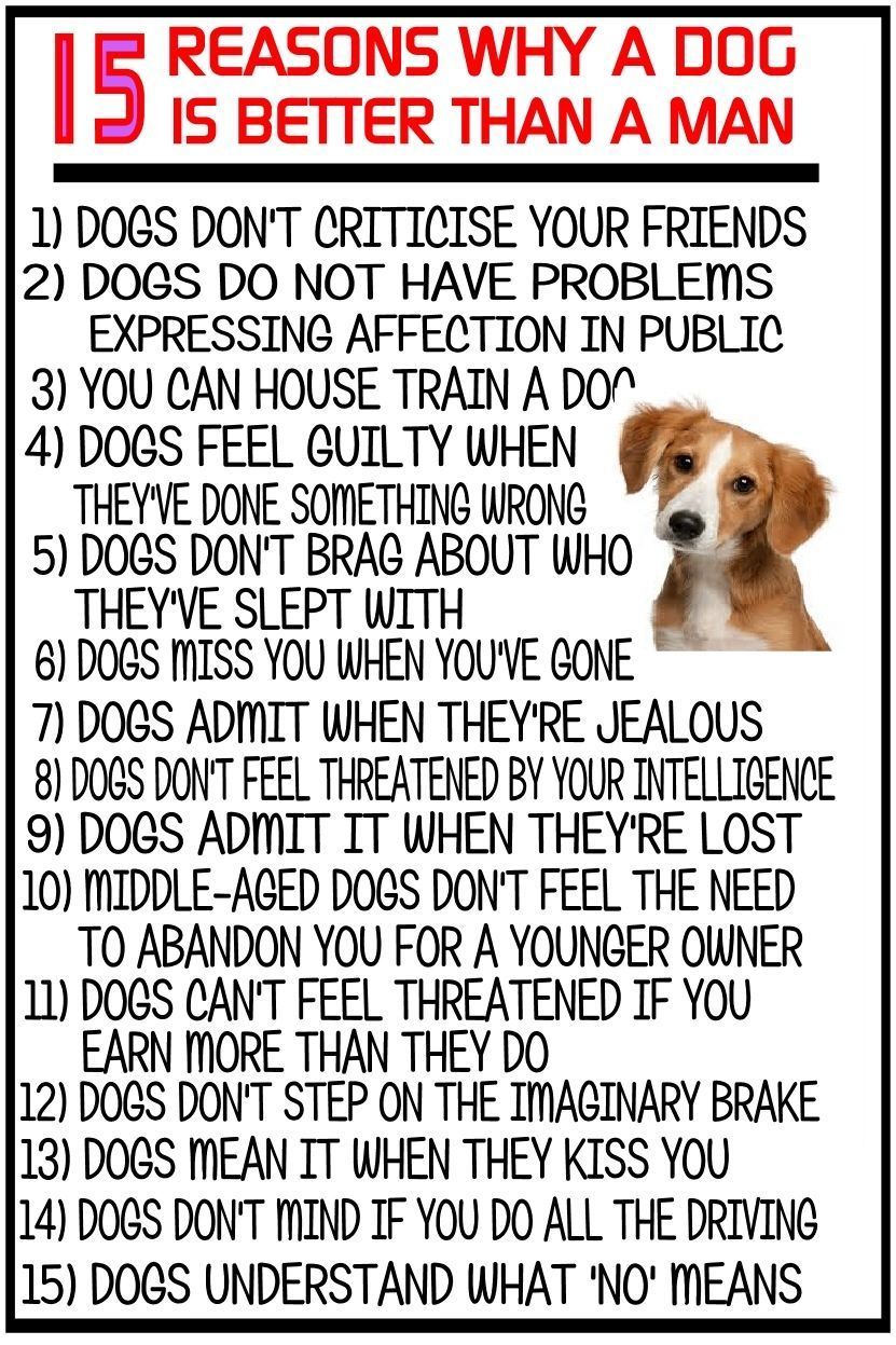 15 REASONS WHY A DOG IS BETTER THAN A MAN funny SIGN PLAQUE dogs men