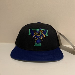 trenton thunder fitted hats