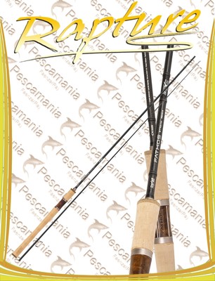 Spinnrute Rapture Fathos Stream FSS802M 2,48 m (Max 28 g)