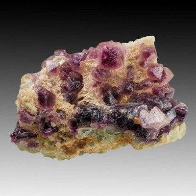 Judith Lynn Claim Purple Phantom Fluorite and Quartz-Very Aesthetic