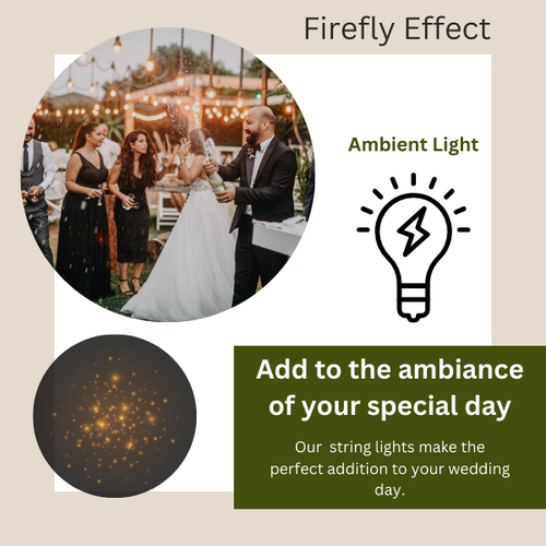 20 Firefly Schnur Lichter LED Anschlussbar Netzbetrieben Garten Outdoor Hochzeit - Bild 9 von 24