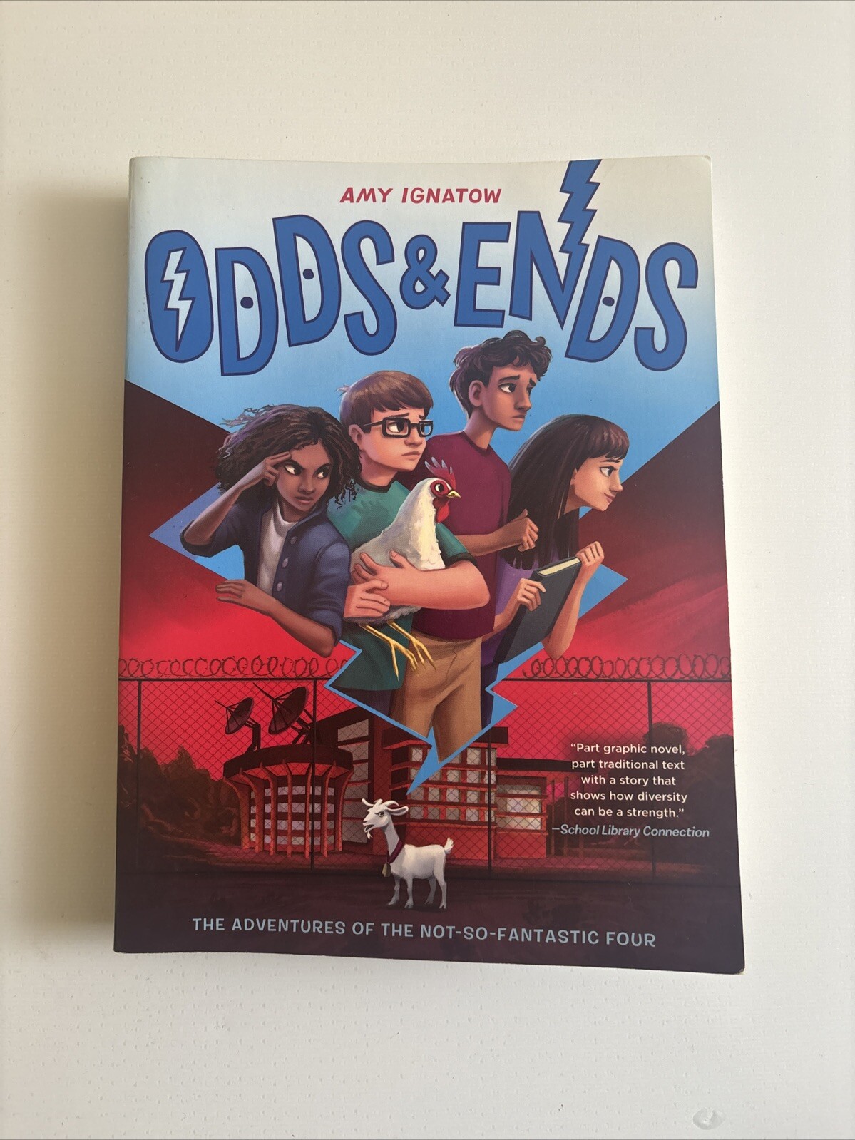 Odds  Ends (The Odds Series 3) - Paperback By Ignatow, Amy - VERY GOOD