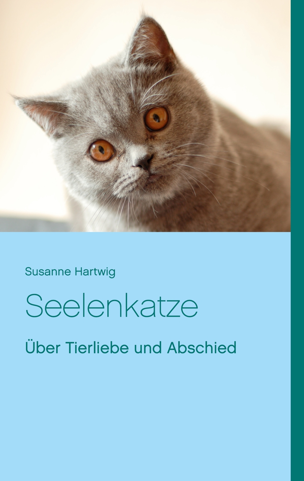 Seelenkatze (buch)