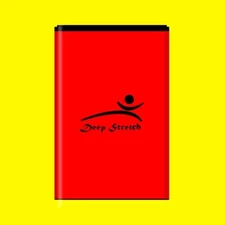 Deep Stretch 2250mAh Lithium Replaceable Battery for LG Optimus Slider VM701