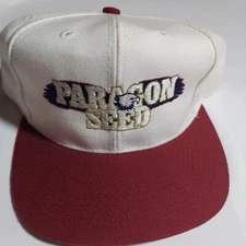 Vintage Paragon Seed Trucker Hat Cap Snap Back Farm Seed Ranch Work Garden Eagle