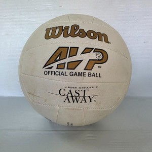 Cast Away Wilson | eBay