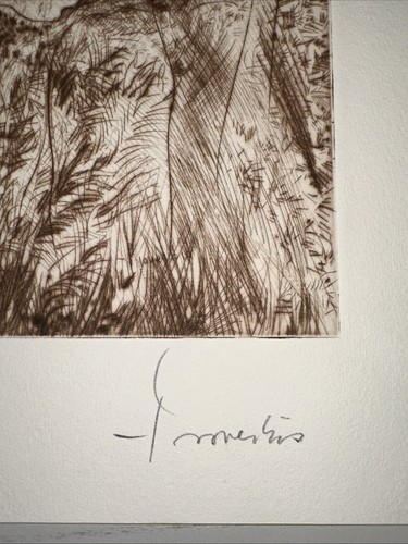 Luciano Proverbio - Foto 4 di 8