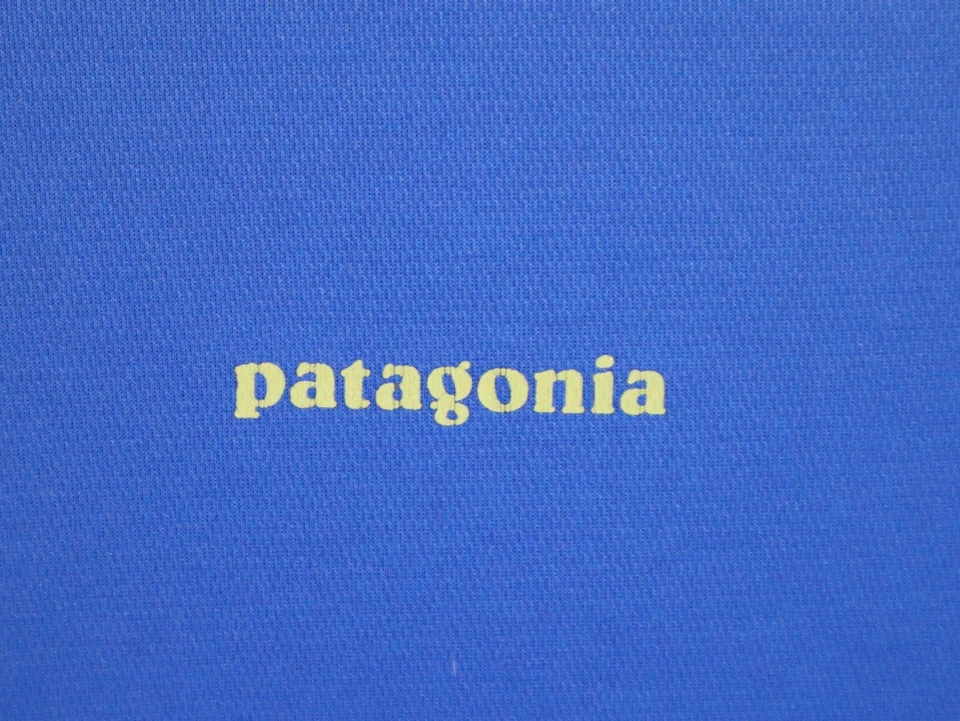 Patagonia Shirt Men Small Blue Short Sleeve Crew Slim Fit Performance Athleisure - Image 2 of 4