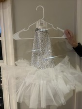Silver Ballet Costume