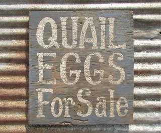 VINTAGE QUAIL EGGS WOOD SIGN FARMHOUSE HATCHERY chickens wildlife bird hunting