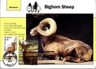 Dr Jim Stamps Maximum Card Bighorn Sheep Combo 22C 41C Fdc