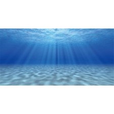 AWERT Ocean Floor Background Undersea Theme 48 x 18 inches, Blue-Green 