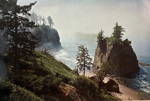 Lot 2 Postcards Redwood Prints For Framing Redcrest California 1984 Coastal - Picture 1 of 6