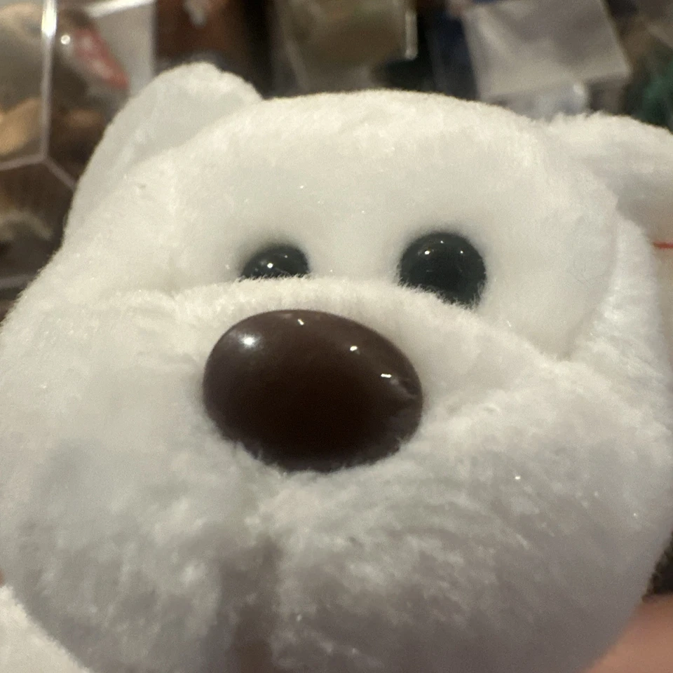 Ty Beanie Baby Valentino Bear MINT Retired Brown Nose Rare - Image 3 of 4