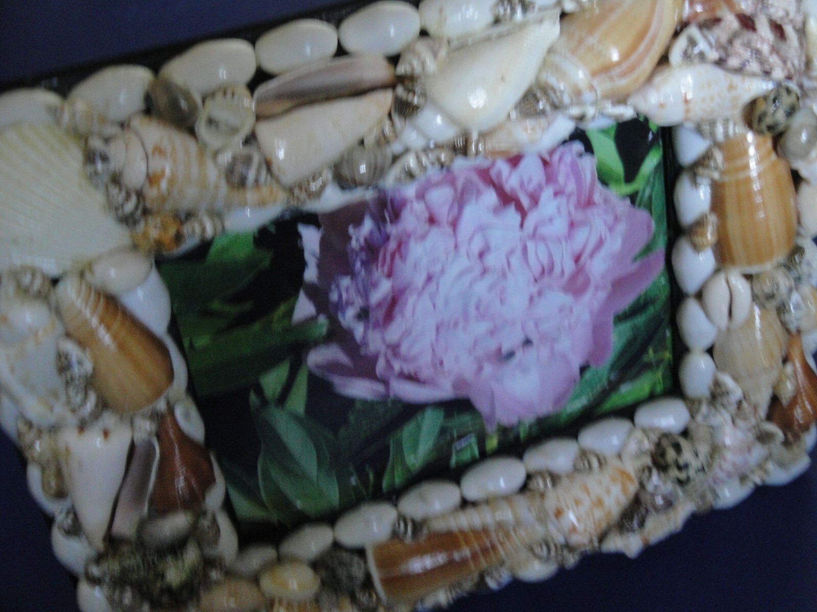 Picture 2 of 7