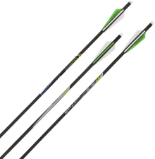 Allen Cx600, Allen 93120 Cx600 Crossbow Bolt 20in 3pk