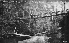 1910's postcard Footbridge Leading to Big Tree Grove California UNPOSTED CA147