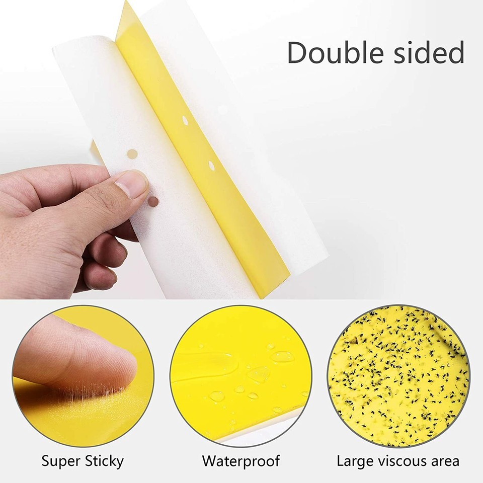 Sticky Insect Paper 20Pcs Sticky Fly Trap Paper Yellow Traps Fruit Flies Insect Glue ...