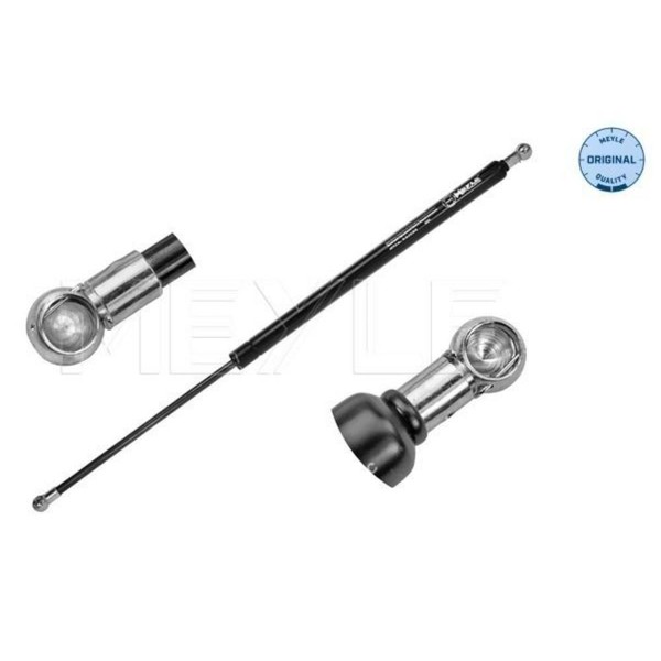 Gasfeder DäMpfer Heckklappe FüR Renault ScéNic Ii JM0/1_ 1.6 16V Grand-image