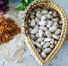 Organic Jack Ceylon Quality Natural Jackfruit Dried Seed 10 100 Tropical