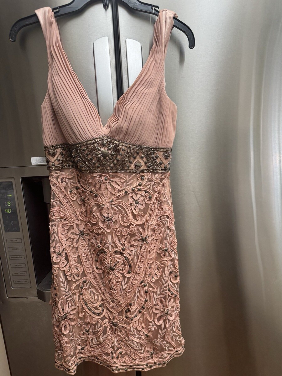 Sue Wong Nocturne Beaded Embroidered Evening Dress Size 6 Dusty Pink