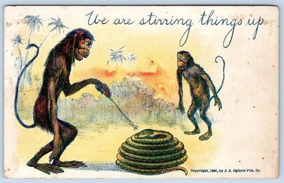 1905 ANTHROPOMORPHIC MONKEYS STIRRING THINGS UP COILED SNAKE COMIC POSTCARD