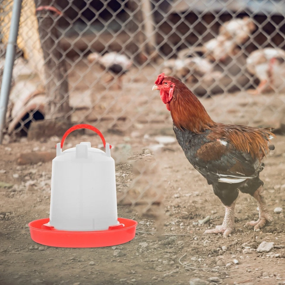 Futterautomat Geflügel Hängender Hühnerfutterspender Wasserschale - Bild 2 von 4