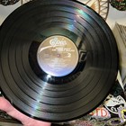 Foto 19 di 24